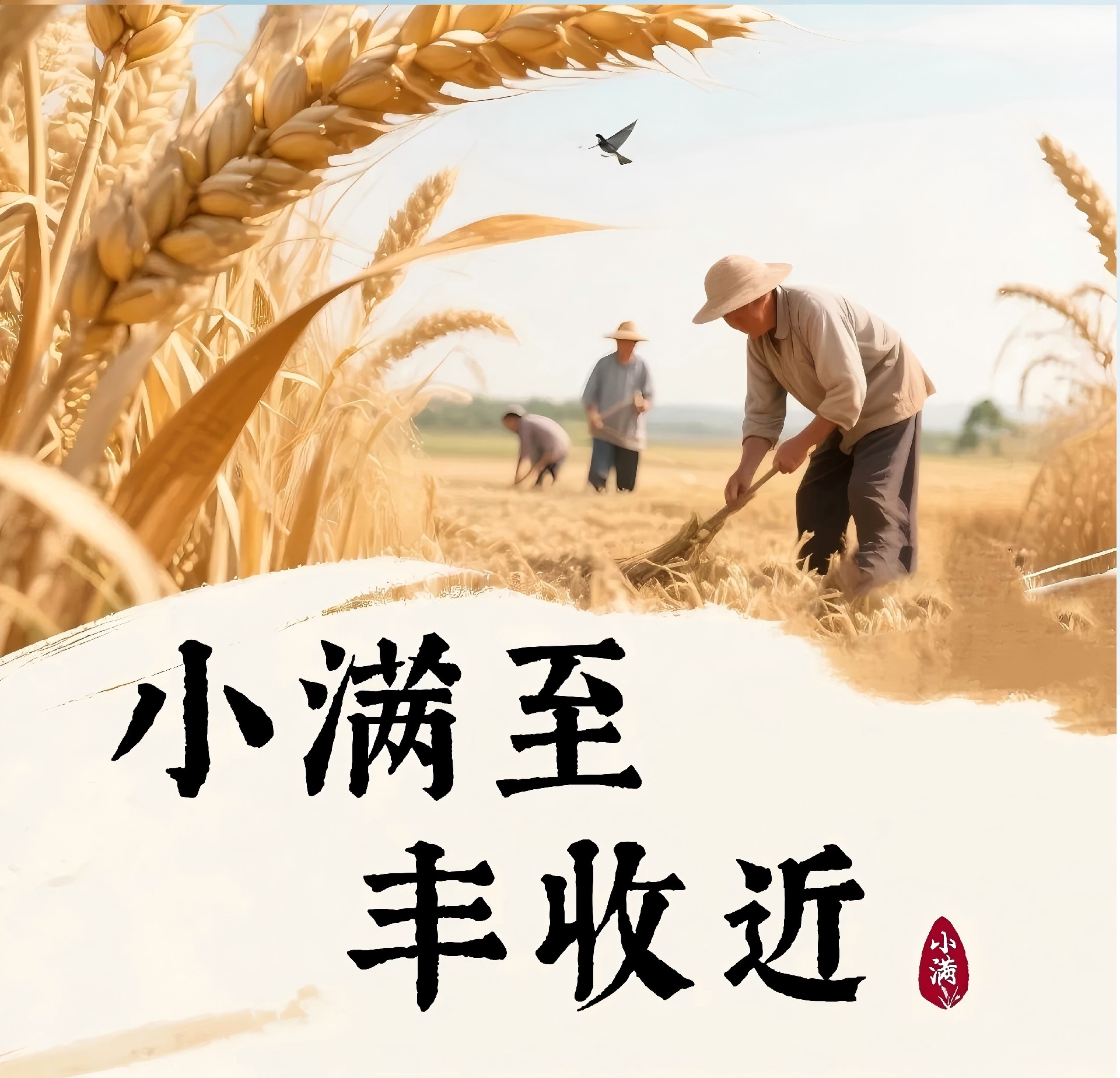 台冷｜小满至，丰收近