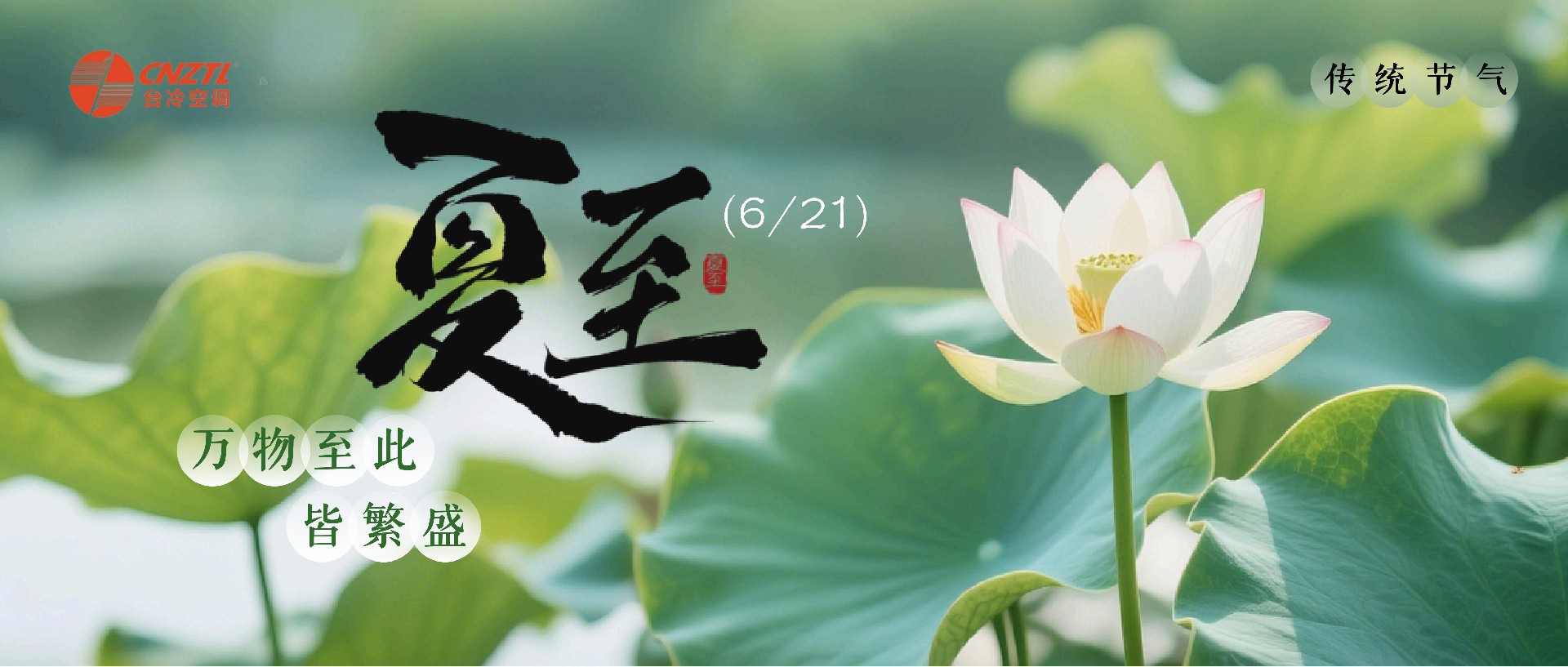 夏至 | 万物繁茂，盛夏伊始